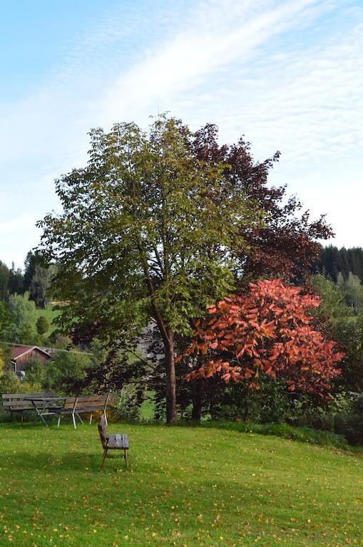Hotel Der Baeume Drachselsried Esterno foto